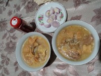 قلم گاو