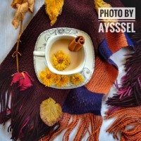 چای ماسالا پست ویژه