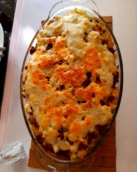 ماکارونی با سس بشامل