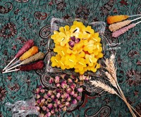 مسقطی شیرازی