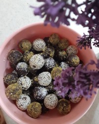 ترافل خامه ای شکلاتی