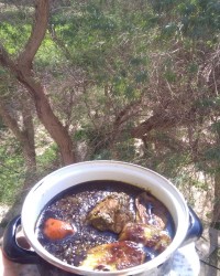 ترش واش قاتوق