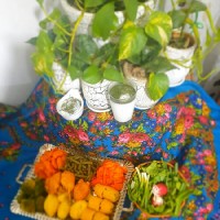 چالش غذای سالم