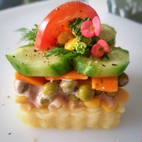 سالاد گیاهی