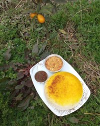 میرزا قاسمی