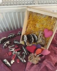 از این خوشمزها بفرمایید