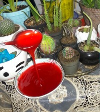 ژل بریلو خونگی