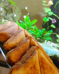 اسنک پیتزایی