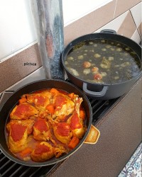 مرغ رستورانی