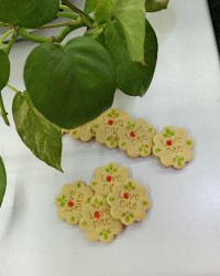 سابله وانیلی