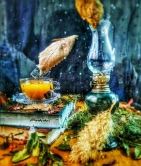 چای دارچین پرتقالی
