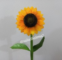 گل آفتابگردان با شلغم