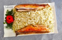 کوکب ماهی پختن را بلد است اگر گرانی بگذارد..