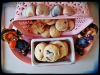 شـیـریـنـی کـشـمـشـی