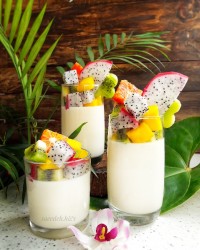 پاناکوتا وانیلی با میوه های استوایی