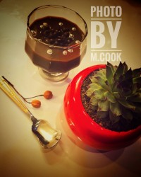 Mocha and Nescafe dessert