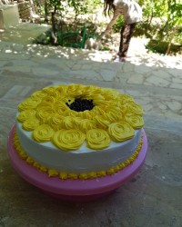 کیک اسفنجی 6 تخم مرغی