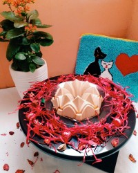 پاناکوتای نسکافه ای چالش جشن سپندارمذگان