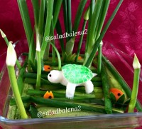 لاک پشت با شلغم