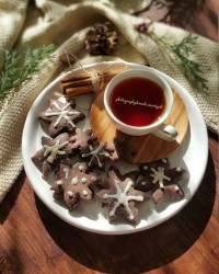 کوکی زنجبیلی مرضی پز