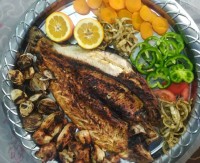 ماهی و مرغ کباب با مخلفات