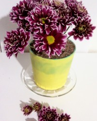 لطفاورق بزنید