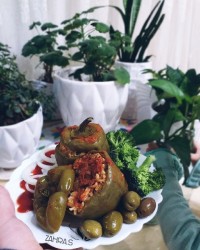 دلمه فلفل دلمه ای سبز