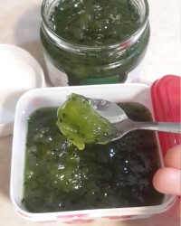 مارمالاد کیوی