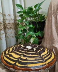 کــیــک زبـــرا