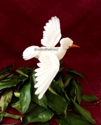 پرنده با شلغم