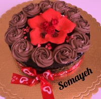 کیک خیس شکلاتی با روکش کاناش (ورق بزنید)