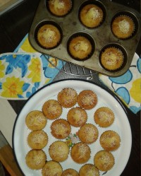 کاپ کیک یزدی