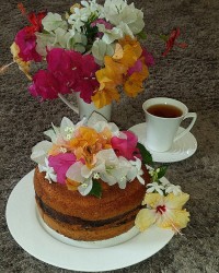 کیک زرافه ای (کیک گل گلی هاجر گلی ?)