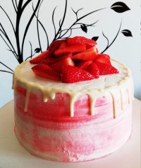 ڪیک شـیفـون