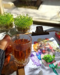 اسفندزیبا سبزه عیدنوروز