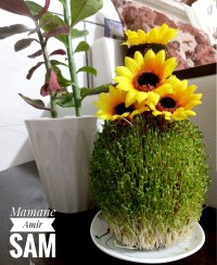 سبزه سال 1400