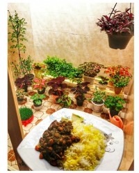 قرمه سبزی آخرین پست سال ۹۹