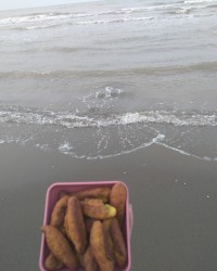 شیرینی بژی