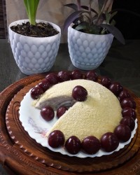 دسر زبرا مخملی