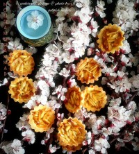 شیرینی فلورنتینا