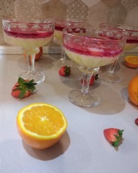 پاناکوتا وژله