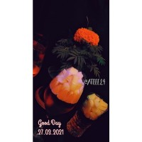 ژلہ میوه ای シ