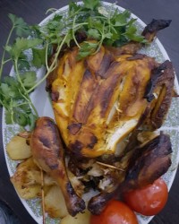 مرغ شکم پُر