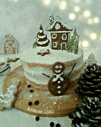 کیک شیفون شکلاتی کیک عریان