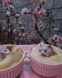 فرنی نارگیلی