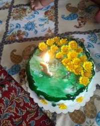 تولدیک سالگی خواهر زاده عزیزم.