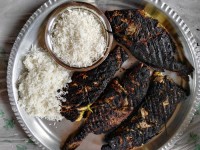 ماهی کباب (13بدر)با عشقام باغ بابایی