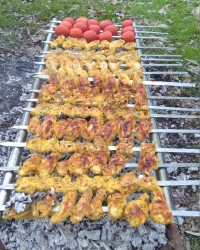 جوجه کباب با گوجه در دل طبیعت ...جاتون خالی خیلی خوشمزه بود