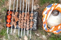 تدارکات سیزده بدر۱۴۰۰