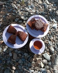 کیک زبرا و کیک شکلاتی سیزده بدر ۱۴۰۰